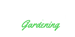 EBAWi