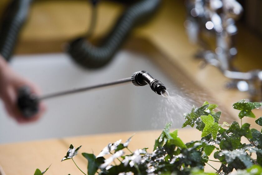 Mini Coil Indoor Garden Hose with Sprayer